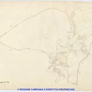Palma Campania 5