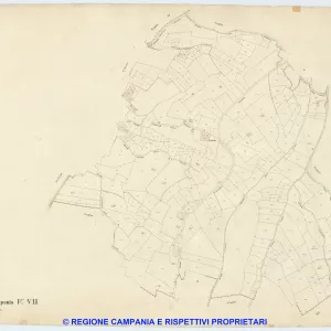 Palma Campania 7
