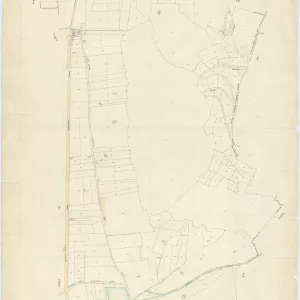 Palma Campania 10