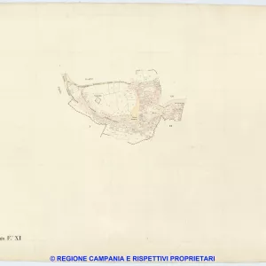 Palma Campania 11