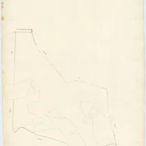 Palma Campania 14