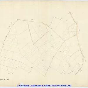 Palma Campania 15