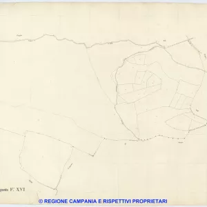 Palma Campania 16