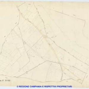Palma Campania 18