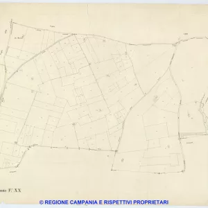 Palma Campania 20