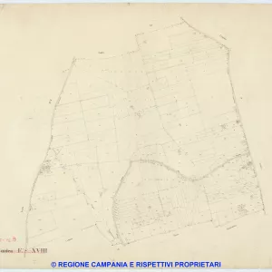 Pompei 3