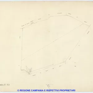 Resina 6