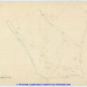 Resina 20