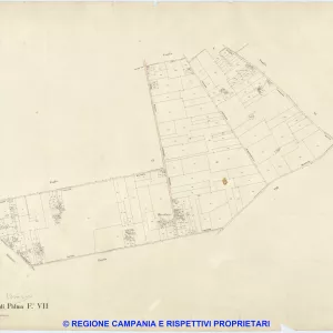 S. Gennaro di Palma 7