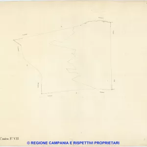 S. Giuseppe 7