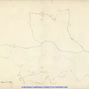 S. Agnello 14