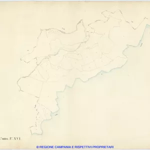 S. Agnello 16