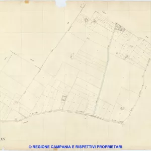 Saviano 15