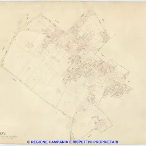 Saviano 16