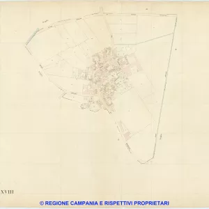 Saviano 18