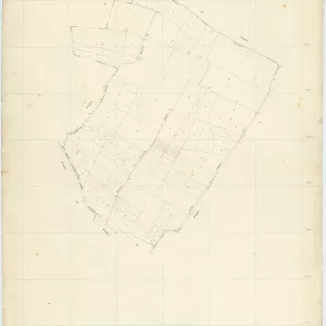Striano 3