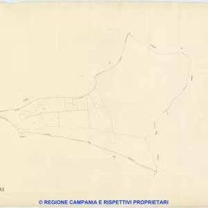 Visciano 11