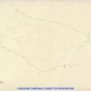 Visciano 12