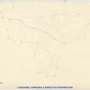 Visciano 15